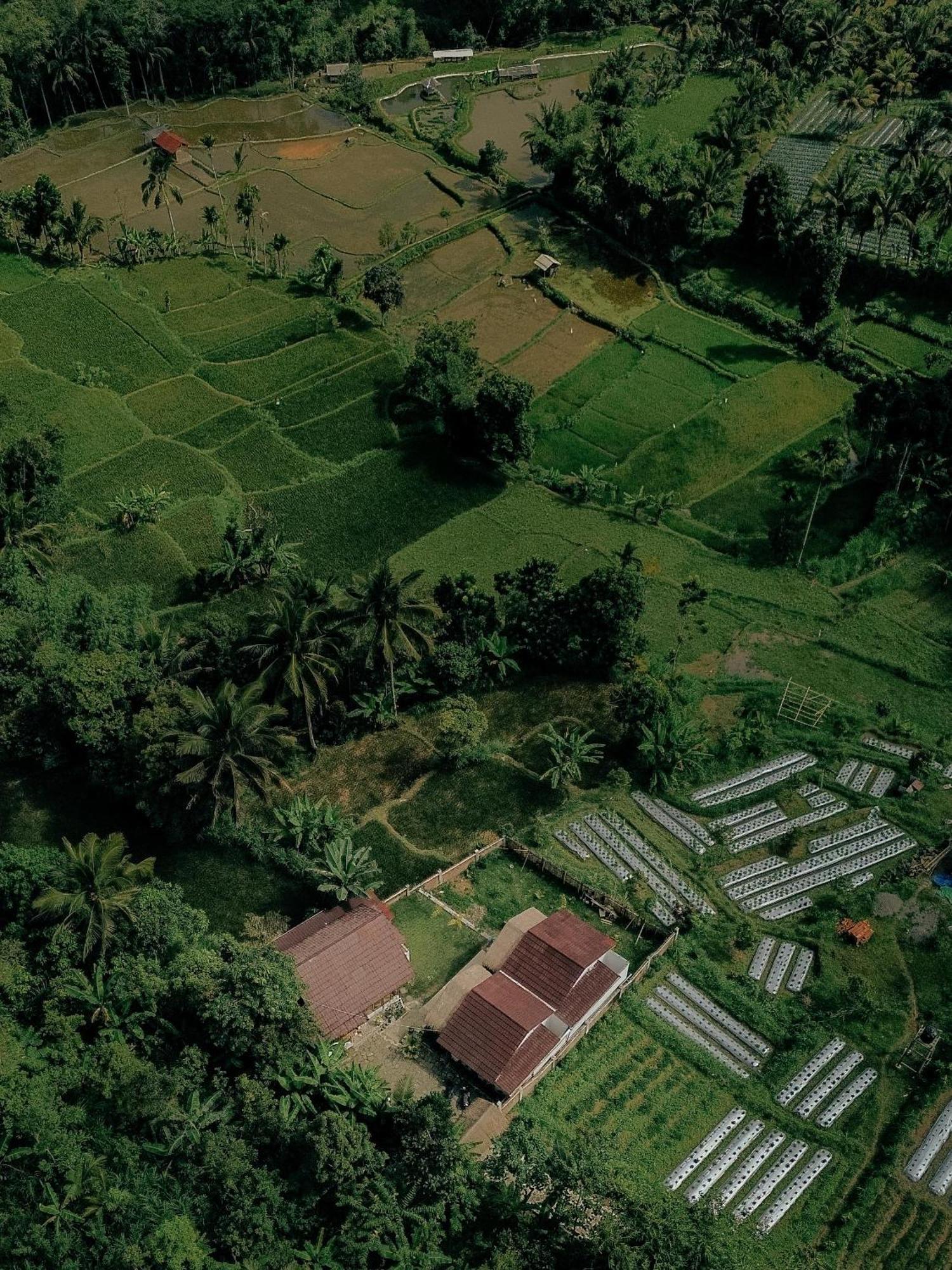 Alora House Lombok Tete Batu Hotell Tetebatu Exteriör bild