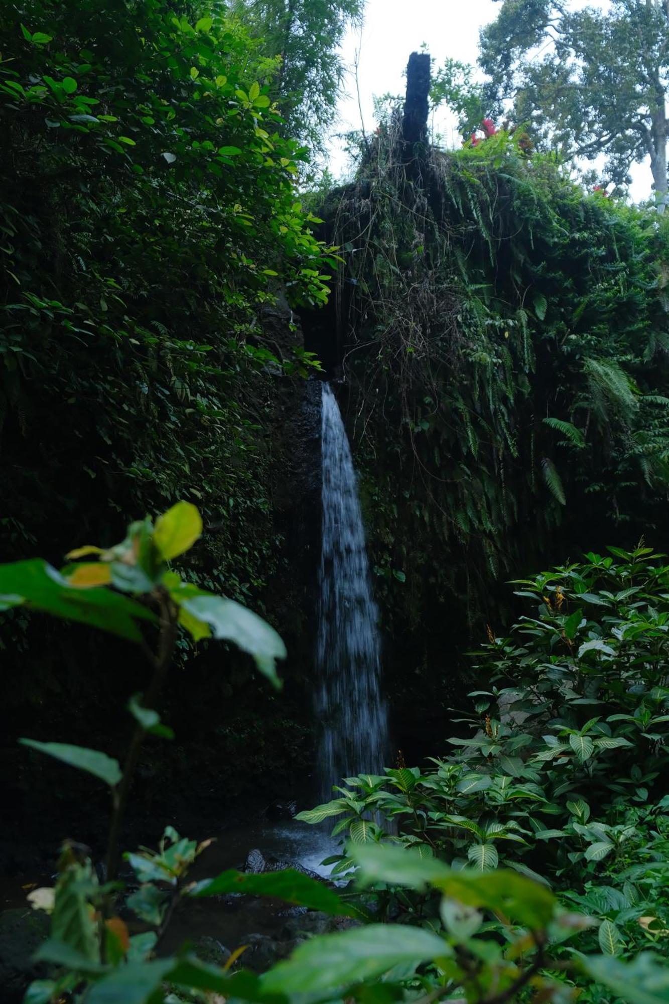 Alora House Lombok Tete Batu Hotell Tetebatu Exteriör bild